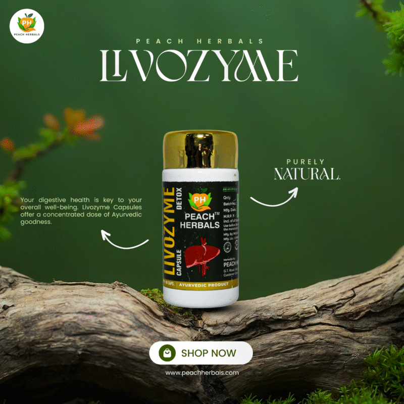Livozyme Capsule - Image 5