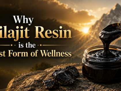 Why Shilajit Resin is the Purest Form of Wellness