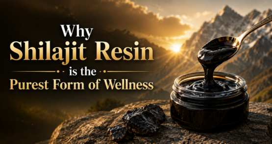 Why Shilajit Resin is the Purest Form of Wellness