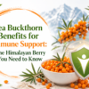 Sea Buckthorn Benefits for Immune Support: The Himalayan Berry You Need to Know.