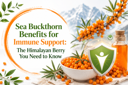 Sea Buckthorn Benefits for Immune Support: The Himalayan Berry You Need to Know.