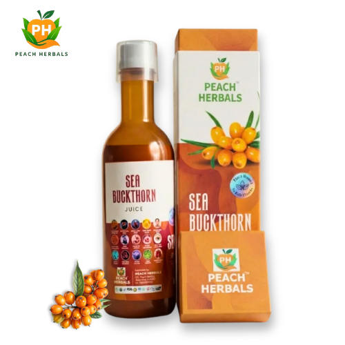 Sea Buckthorn PNG