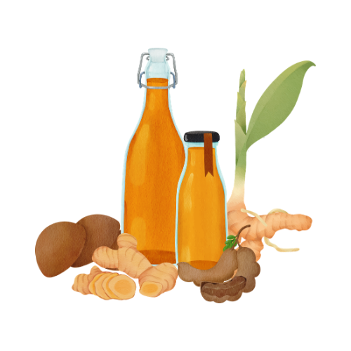 Herbal oils, roots and fresh botanicals